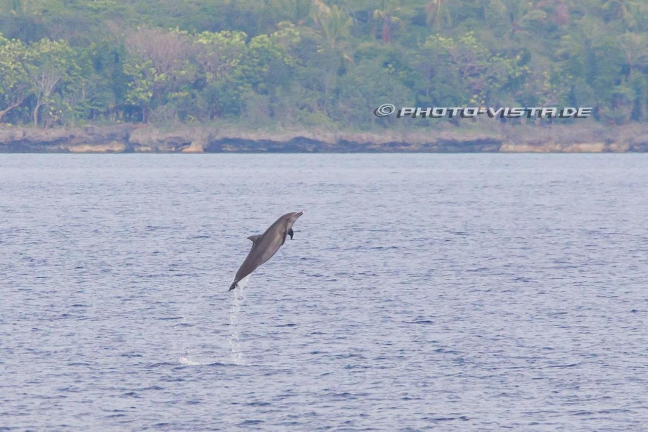 Camotes Eden Hotel Himensulan Bagian luar foto